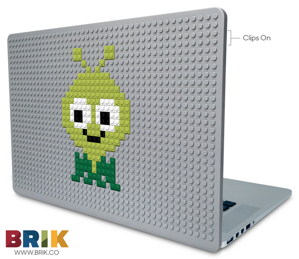 Cricket Laptop Case