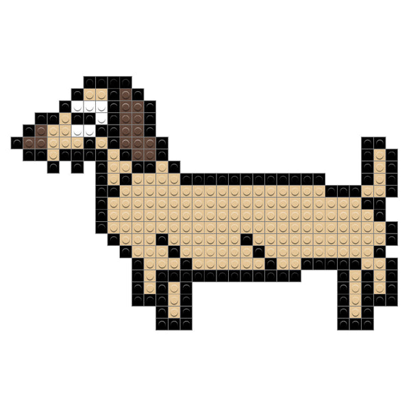 Dachshund