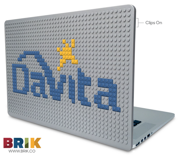 DaVita Laptop Case