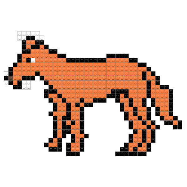 Dingo