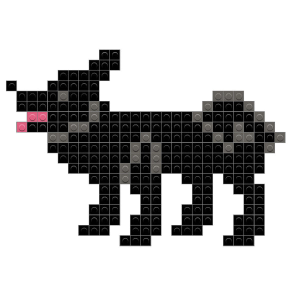 Dog - Schipperke