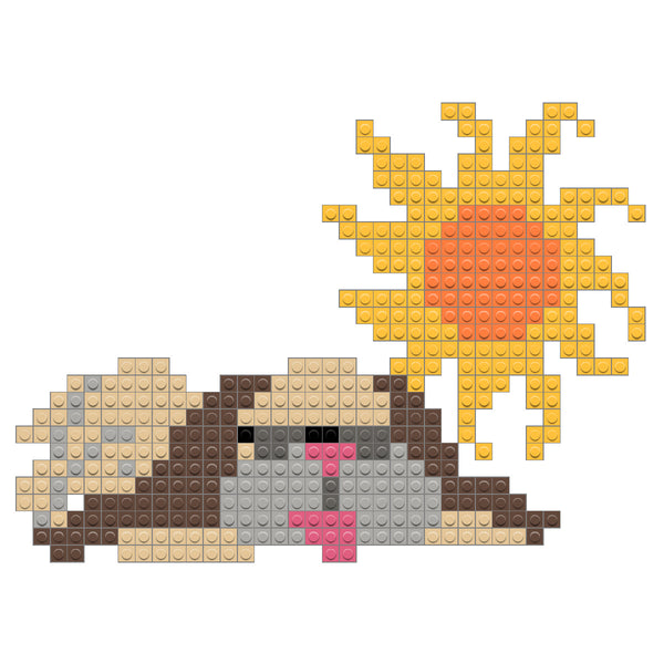 Dog Days of Summer