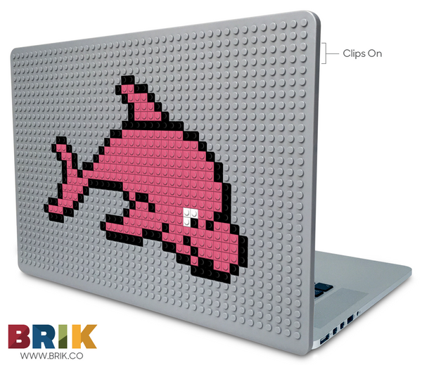 Dolphin Laptop Case