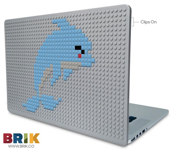 Dolphin Laptop Case