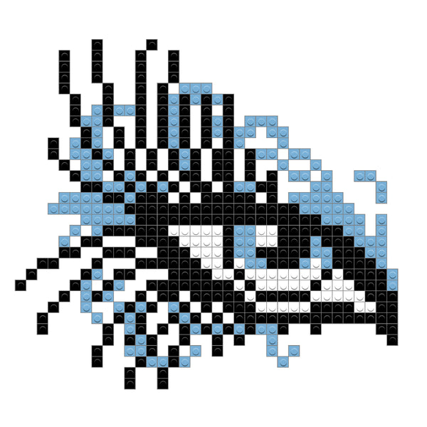 Eye