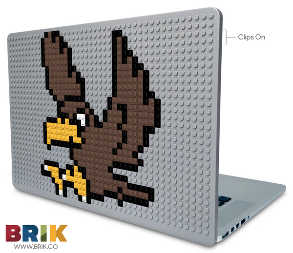 Falcon Laptop Case