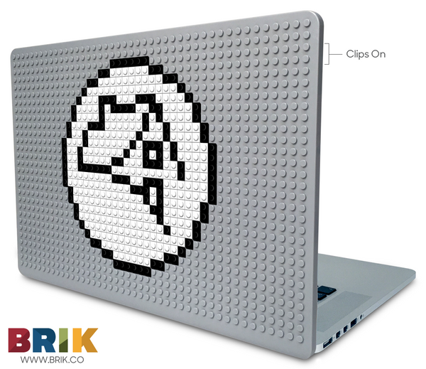 Fannie Mae Laptop Case