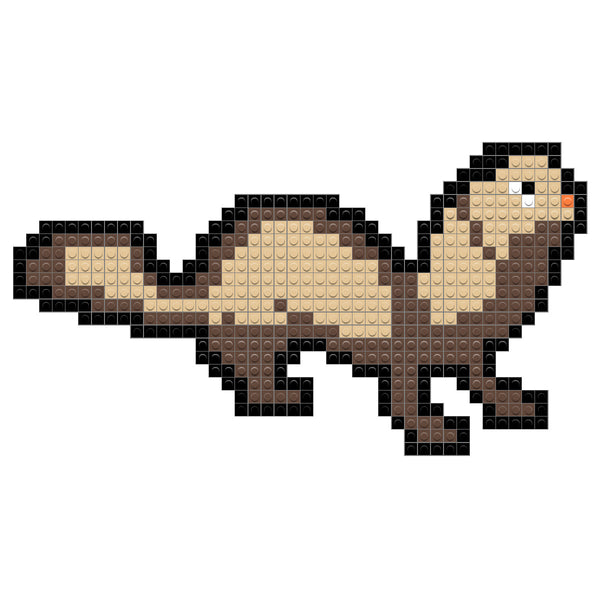 Ferret