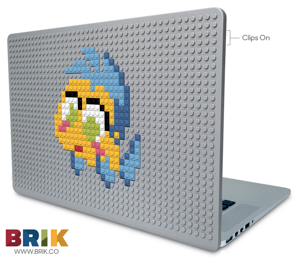 Flounder Laptop Case