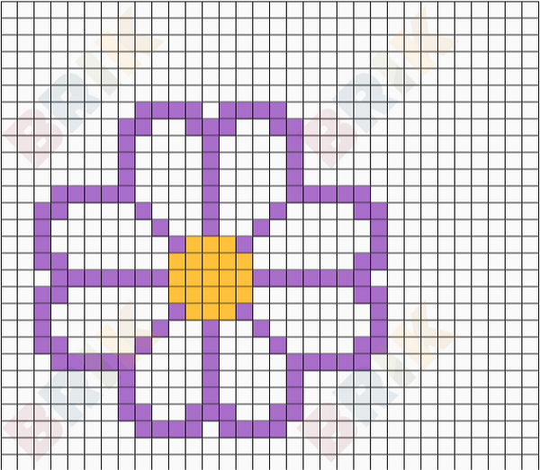flower daisy