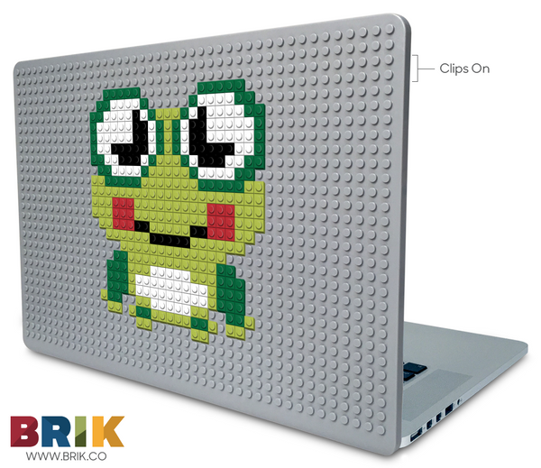 Frog Laptop Case