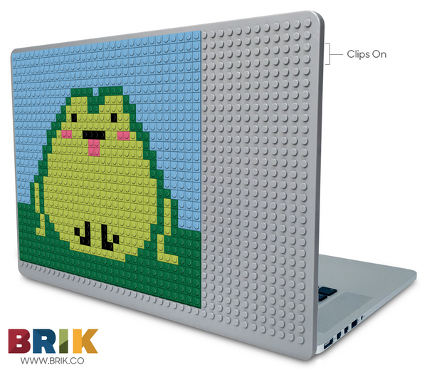 FROG Laptop Case