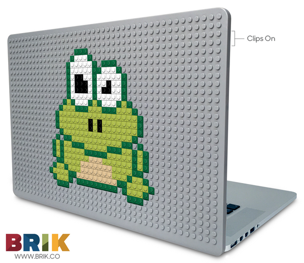 Frog Laptop Case