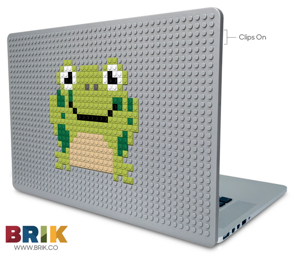 Frog Laptop Case