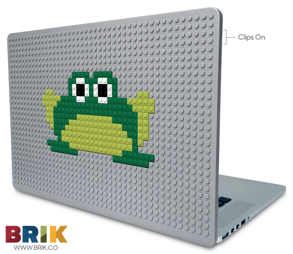 Frog Laptop Case