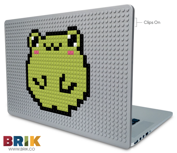 Frogge Laptop Case