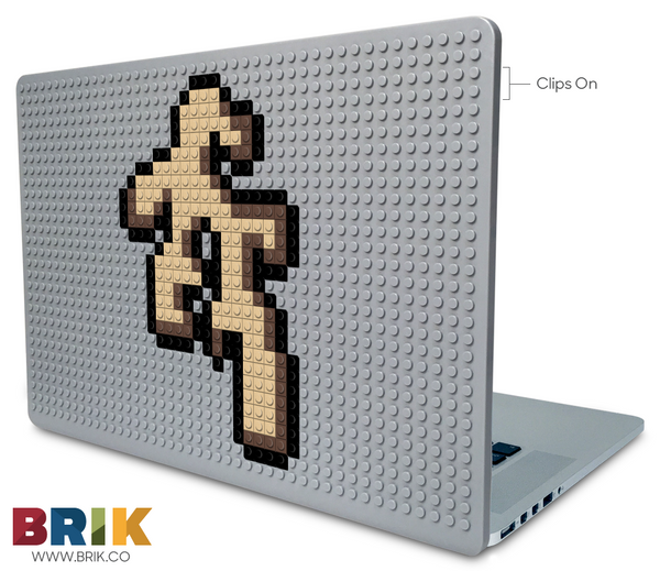 Ginger Laptop Case