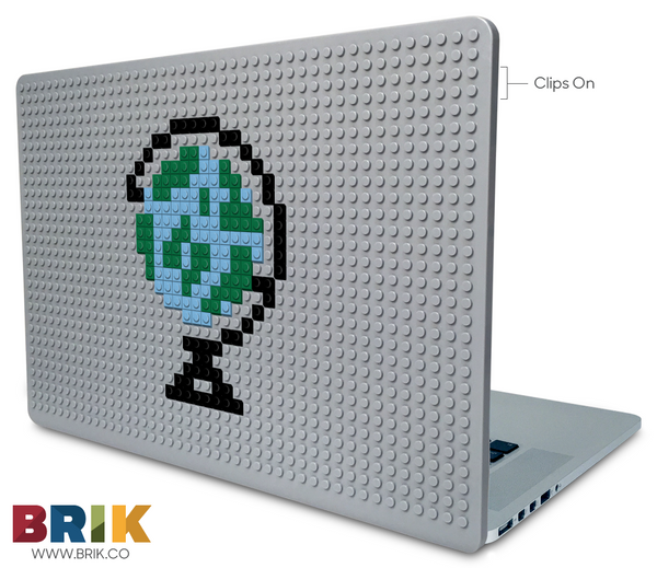 Globe Laptop Case
