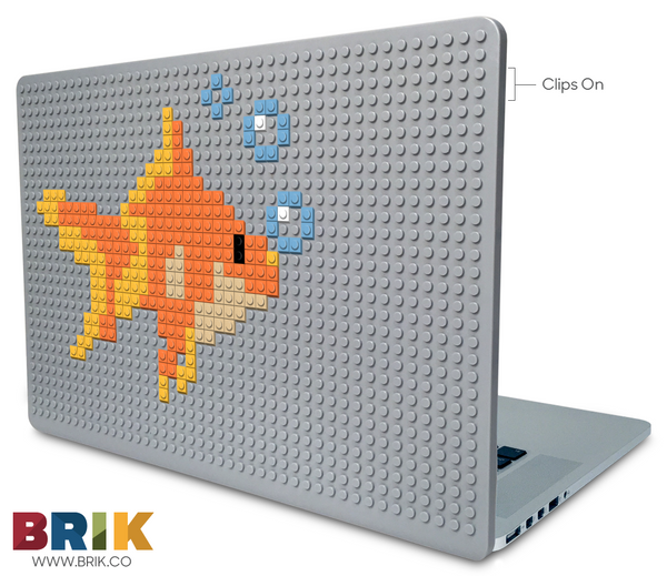 Goldfish Laptop Case
