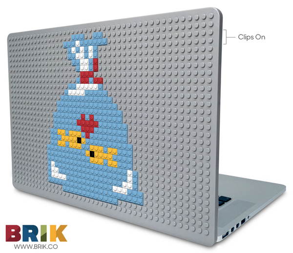 Goldfish Laptop Case