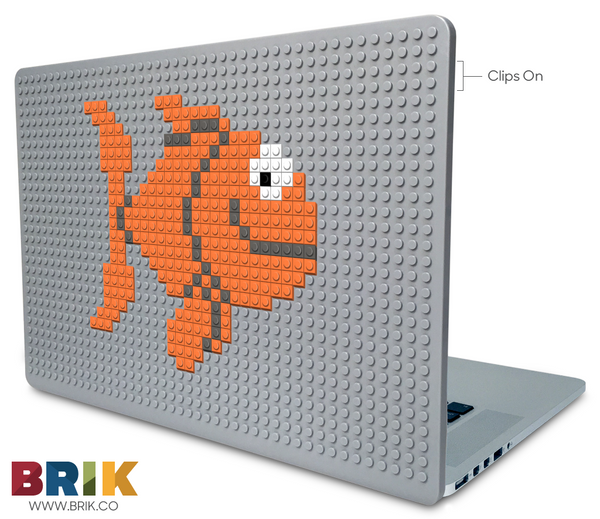 Goldfish Laptop Case