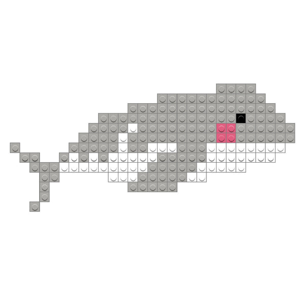 Gray Whale