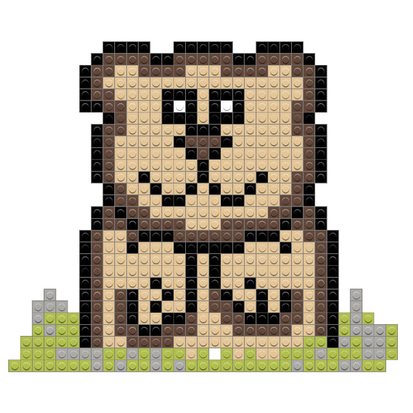 Ground Hog