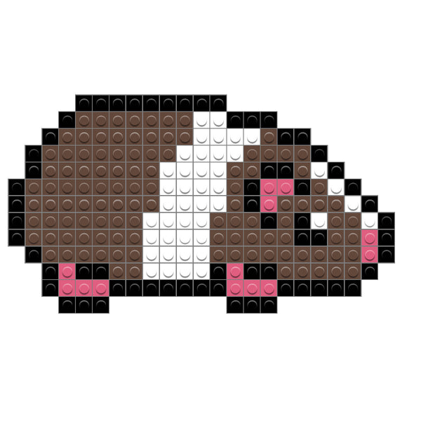 Guinea Pig