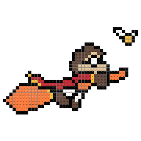 Harry Potter Broom Golden Snitch