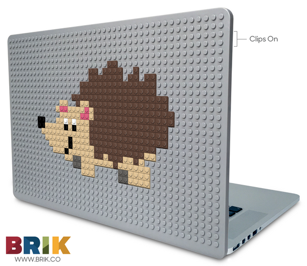Hedgehog Laptop Case