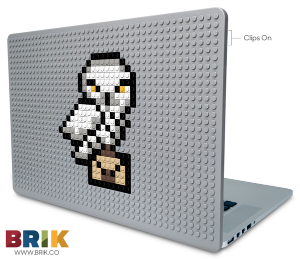 Hedwig Laptop Case
