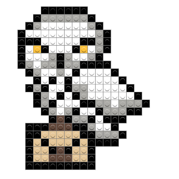 Hedwig Harry Potter
