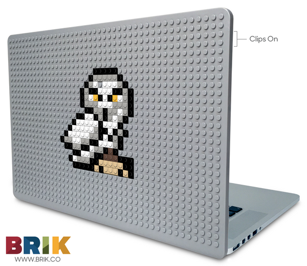 Hedwig Laptop Case