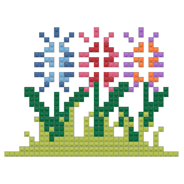 Hyacinth