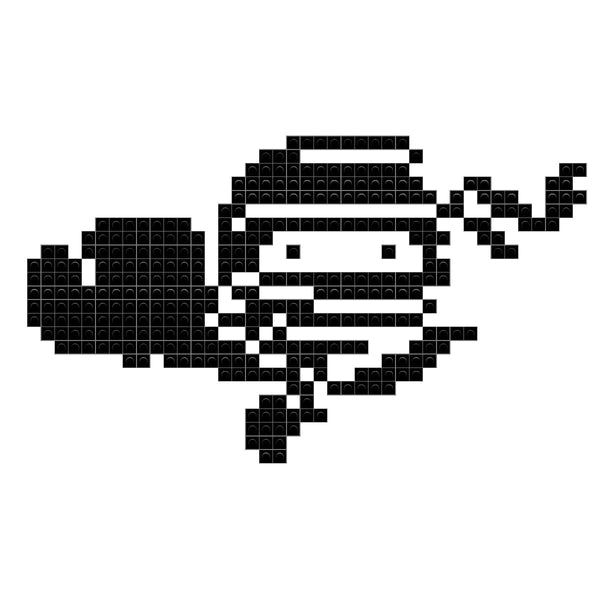 International Ninja Day