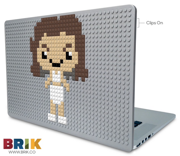 Janet Weiss Laptop Case