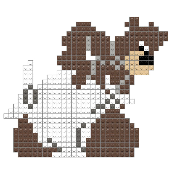 Junyer Bear