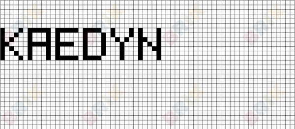 Kaedyn - Black Name Tag