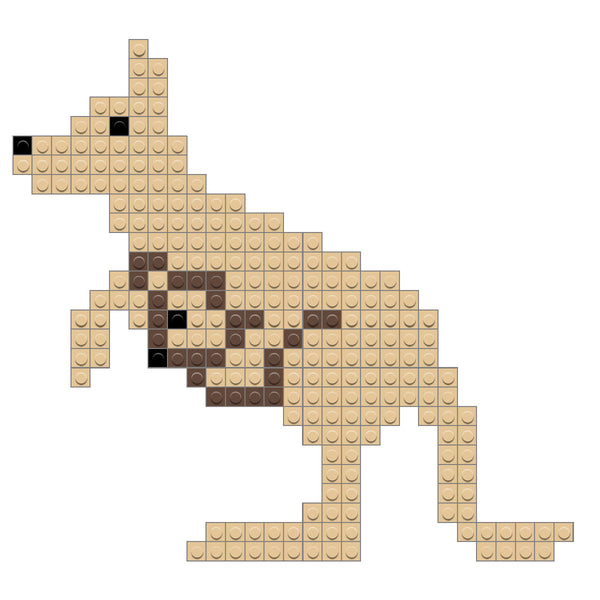 Kangaroo