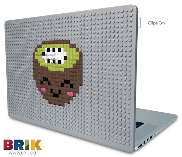 Kiwi Laptop Case
