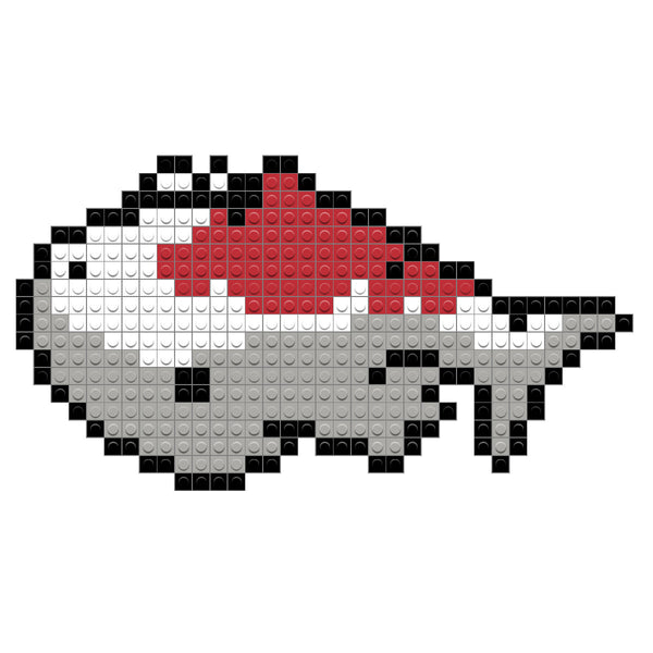 Koi Fish