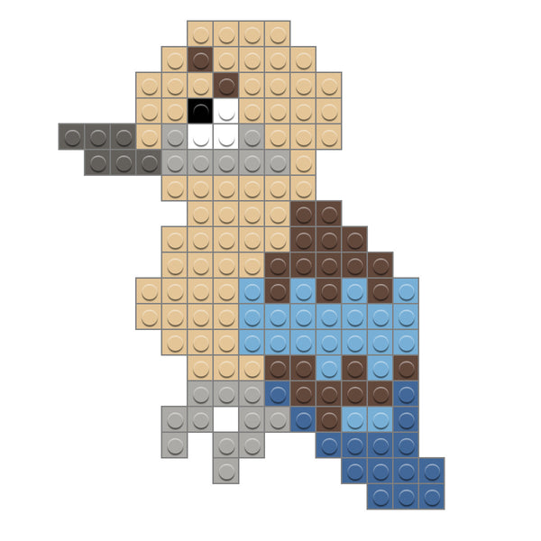 Kookaburra