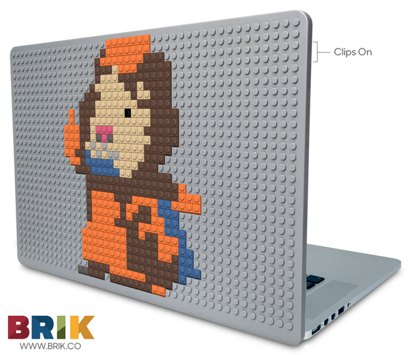 Linny Laptop Case