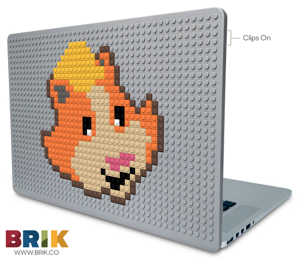 Linny Laptop Case