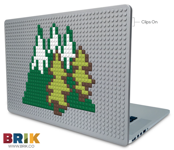 Look for an Evergreen Day Laptop Case
