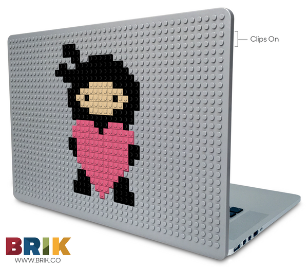 Ninja Laptop Case