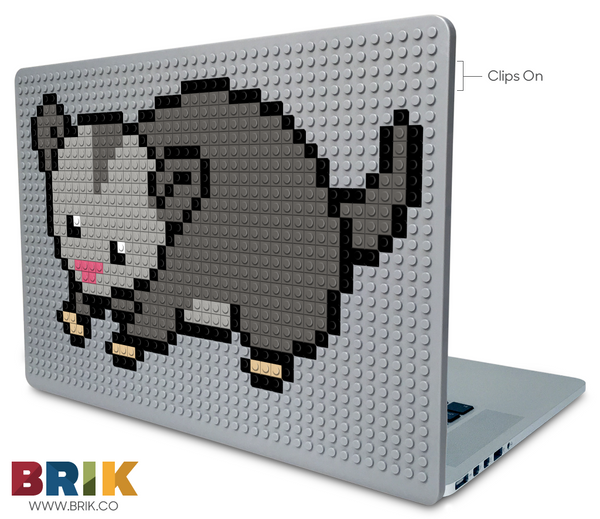Opossum Laptop Case