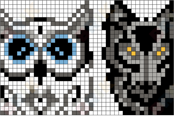 owl and wolf