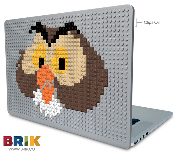 Owl Laptop Case