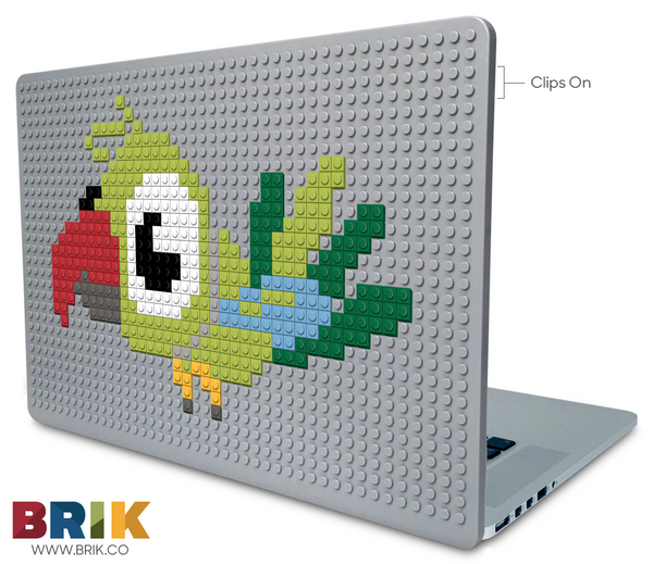 Parrot Laptop Case